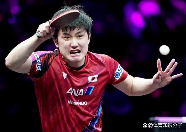 韩国队横扫英格兰队，张本智和状态火热的简单介绍