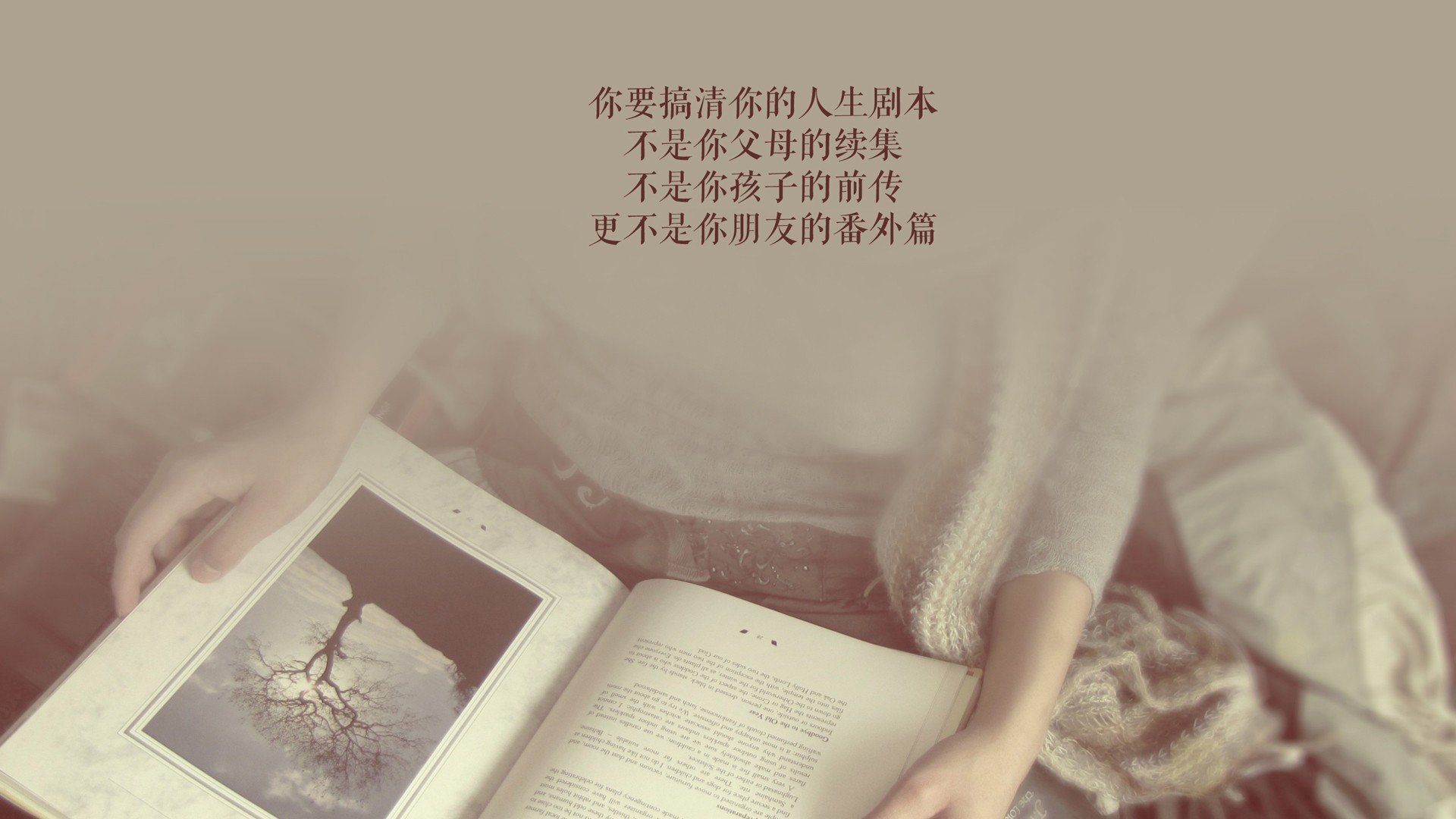 从梅阿查到开罗，当铁闸爆发遇上法老鏖战—现代足球的双面叙事