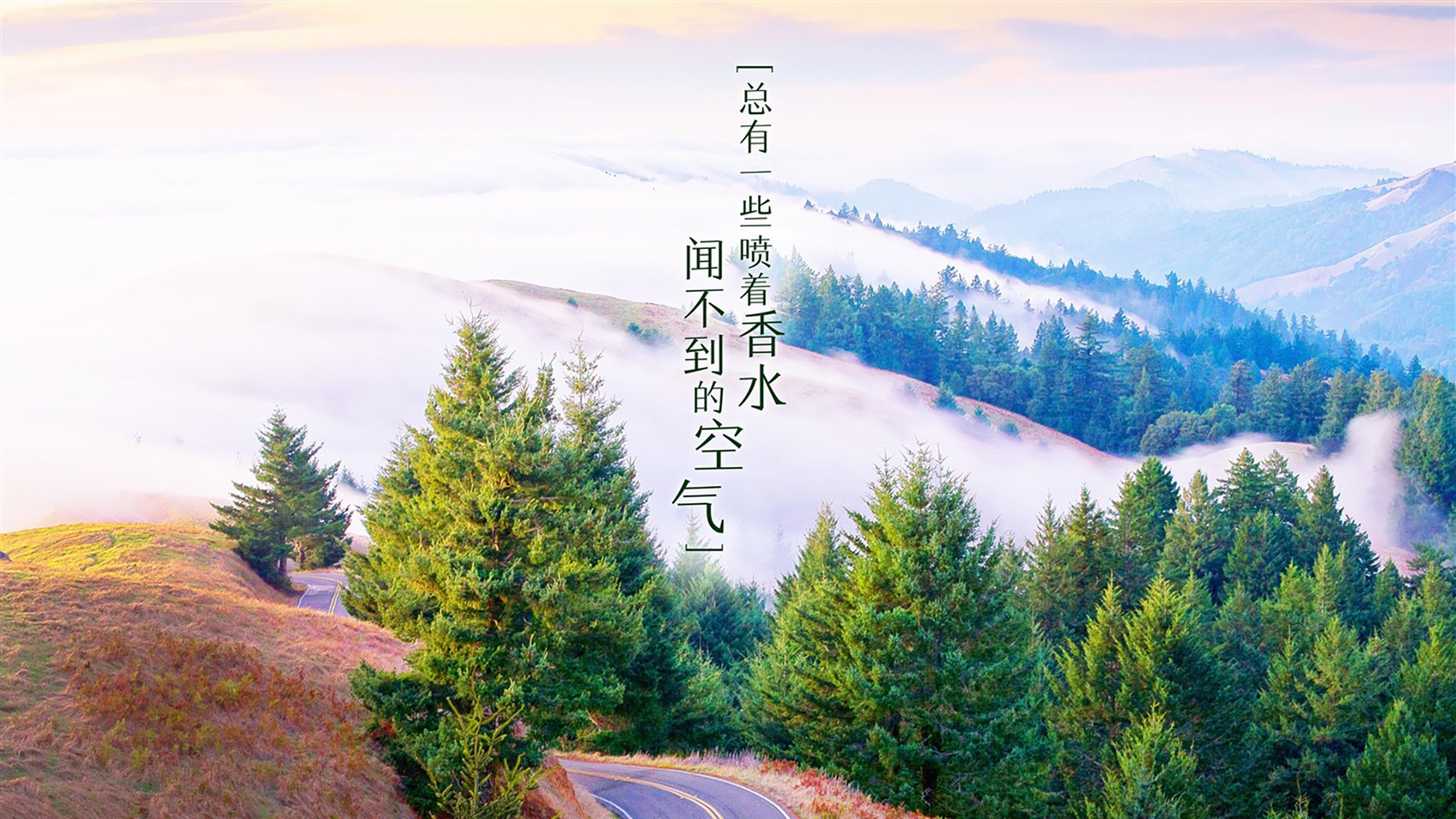 东方星火燎原亚平宁，当李刚仁成为意甲焦点之夜的终极密码