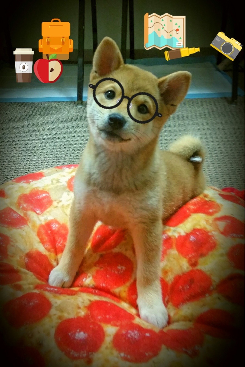 跨界对决，NBA总决赛焦点战与马德里竞技鏖战阿尔及利亚的体育启示