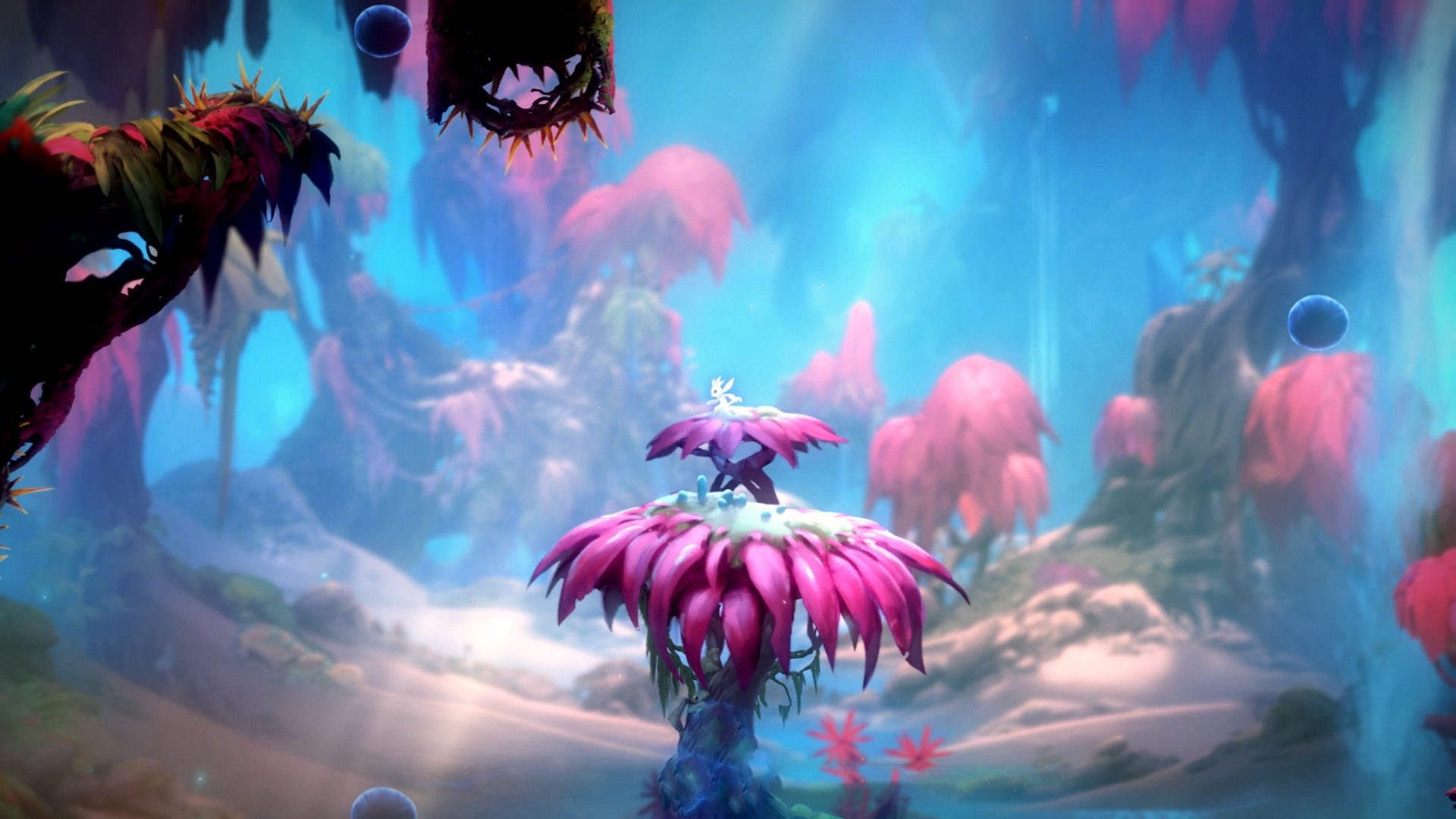 跨越时空的对决，当黄黑军团遭遇咖啡军团，库尔图瓦的指尖改写天命