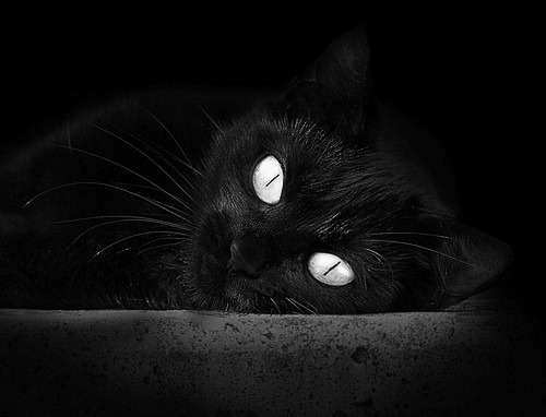 爆冷！厄瓜多尔强行终结葡萄牙 C罗落寞身影映衬内马尔关键先生加冕