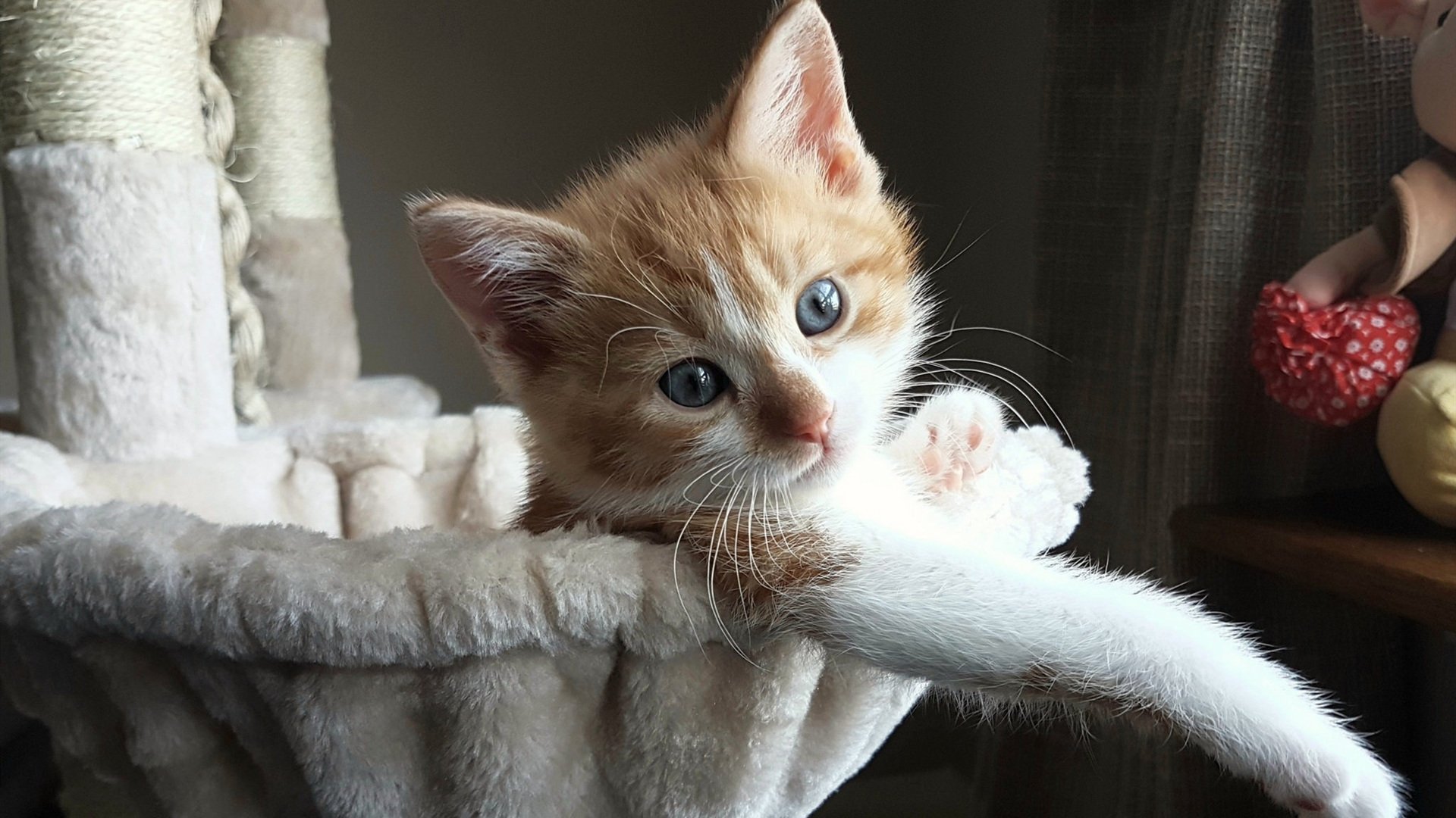 钢铁壁垒与致命利刃，德国足球的体系霸权，何以被罗德里戈一剑刺穿？