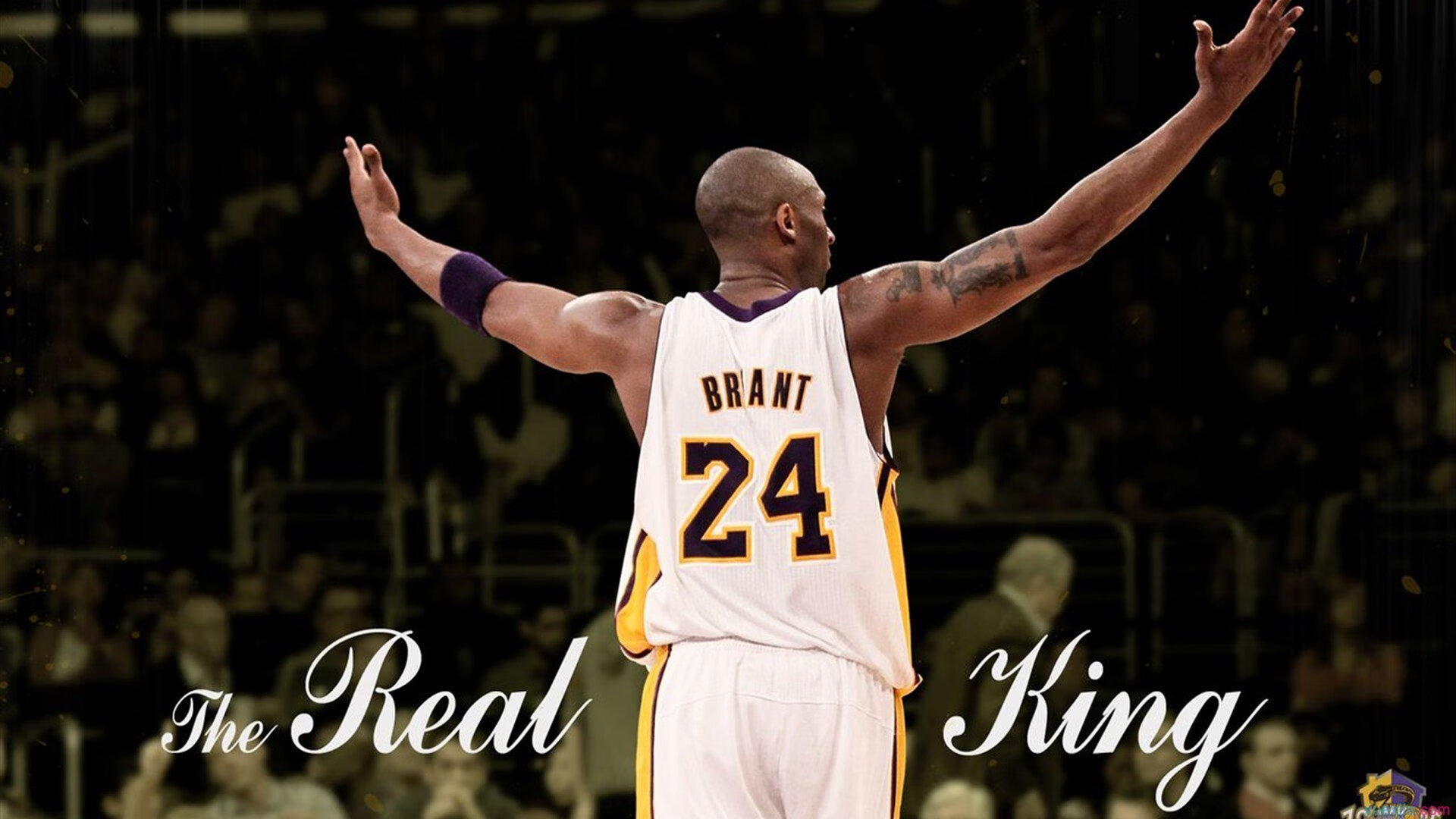 当东北虎遇见绿军魂，一场跨越篮球宇宙的完美共振