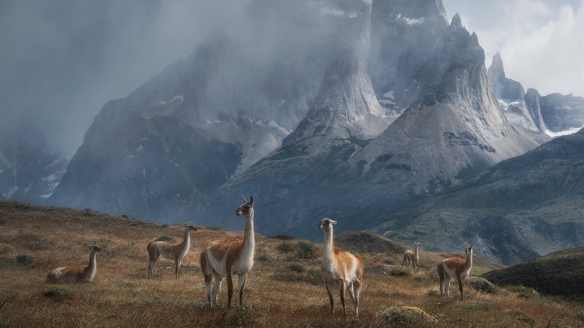 闪电击穿云层与棋盘上的精确落子，李刚仁的个人风暴难撼西班牙的体系城堡