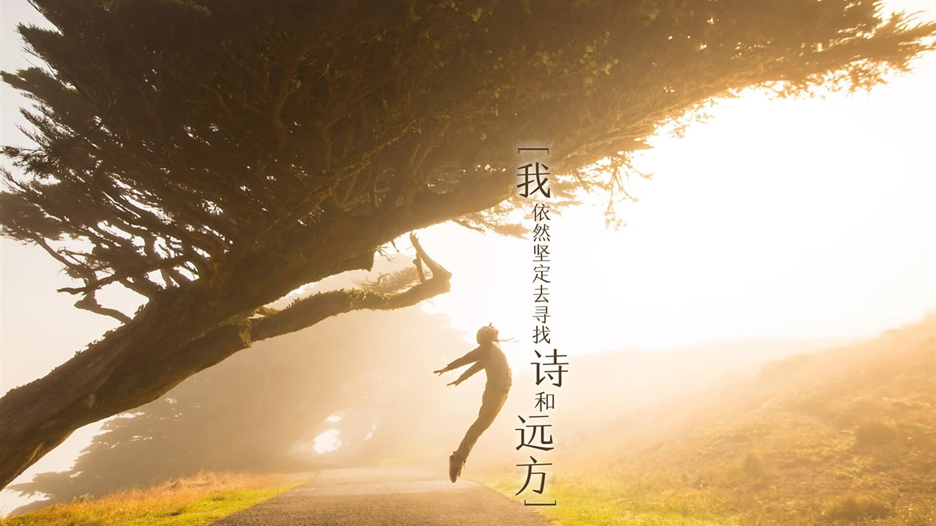 南美双雄的困兽斗与英伦暗器，2026世界杯C组唯一的破局方程式